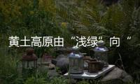 黄土高原由“浅绿”向“深绿”挺进