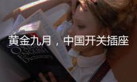 黄金九月
，中国开关插座品牌以“质”取胜