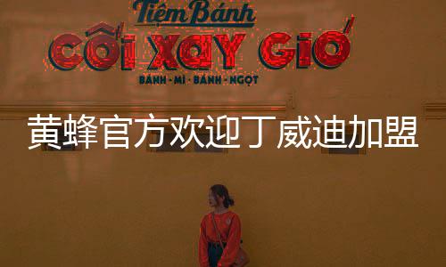 黄蜂欢迎合同细节未予公布