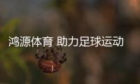 鸿源体育 助力足球运动创新性发展