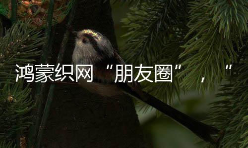 视觉中国/图2023年年尾