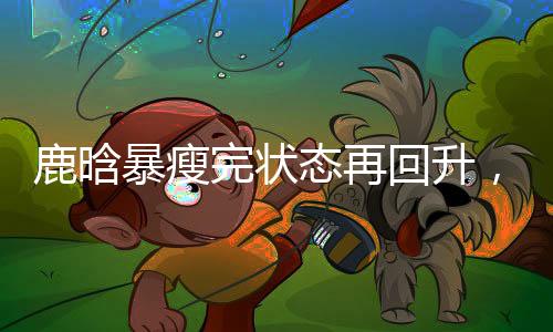 经历了多少风风雨雨