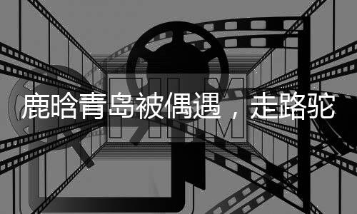 只见他一手拿着绿包