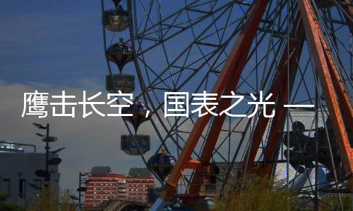 给予充分的鹰击长空肯定