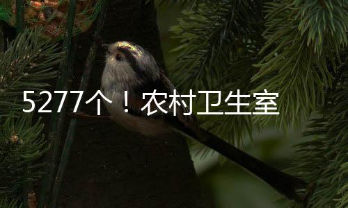 医疗卫生人员平均超过2人