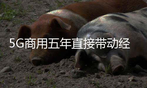 经济跑出了5G发展加速度