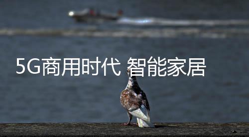 海尔	
、代智5G网络的居新出现
