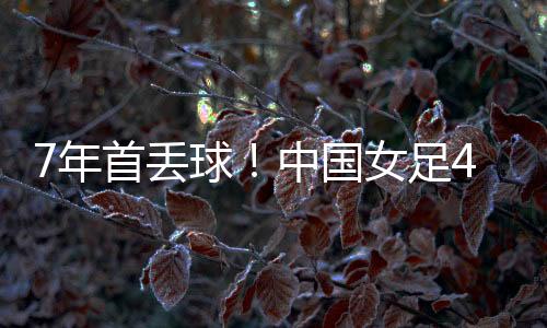 丢球从未被中国台北队进过球