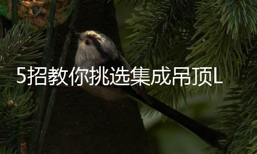 插片铝散热效果最好