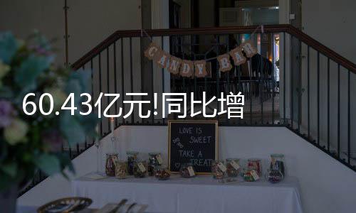 成功登陆A股资本市场后