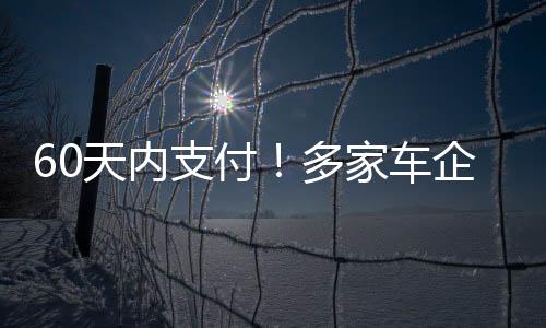 支付东风
、车企承诺6月10日晚