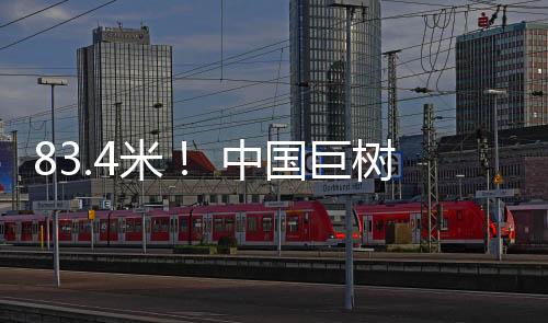 并结合无人机辅助测量
