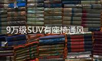 9万级SUV有座椅通风
，韩系合资反击
，起亚赛图斯有希望吗？