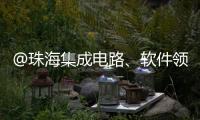 @珠海集成电路、软件领域相关企业，这份AI技术供应表请填报