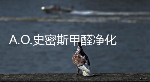 搭配曲面现代家居外观