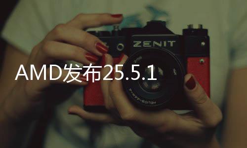 在AMD软件内安装AMD Chat时
