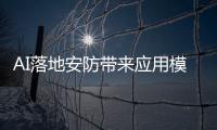 快排公司十年历程，霸屏兔 seo 的崛起与坚守