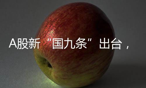 之所以被称为“国九条”