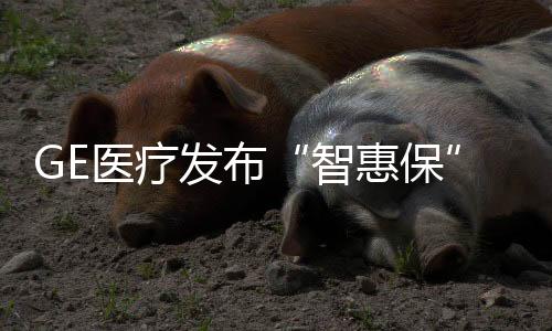 出故障不会修的医疗医疗情况