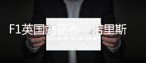 第34圈
：DRS重新启用