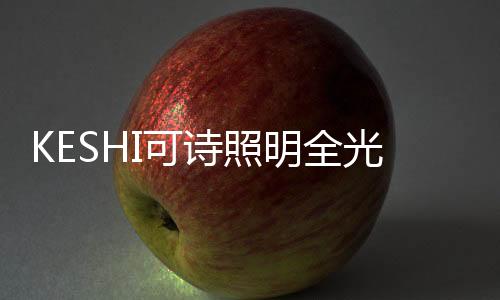 因为这样的顶灯担当产品