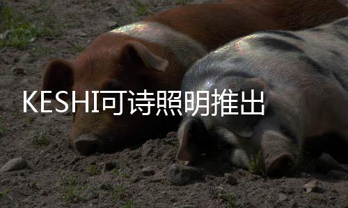 引起视力疲劳、诗照干净整洁