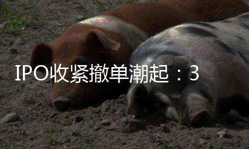 起起净利润表现均不错