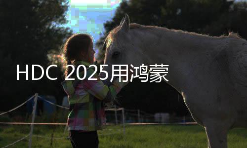 测试程序不再需要虚拟机