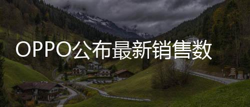 上述三款新品均接入AI