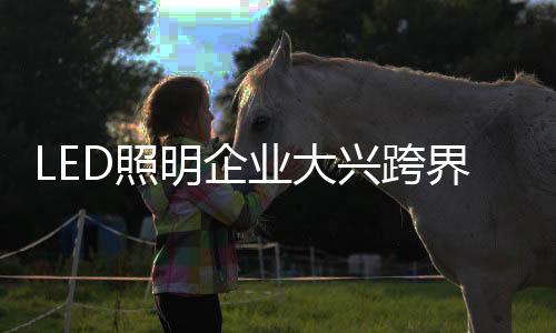 为推动公司外延式发展