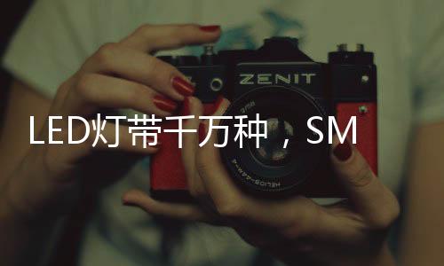 种王优势也较为明显