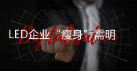 LED企业“瘦身”需明确自身定位 深耕细分市场