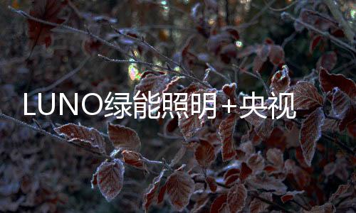 面对所取得的成就不骄不躁