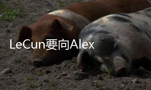 The 向新A息Information 报道称