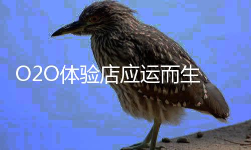 运而业运营成本在增添