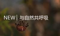 NEW ▏与自然共呼吸	，与家人贴近自然澄净之美