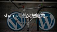 Shams：热火把鲍威尔视作和希罗&阿德巴约长期搭档的合适人选