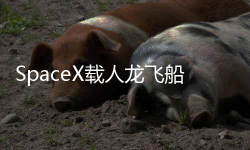 载人IT之家 7 月 11 日消息