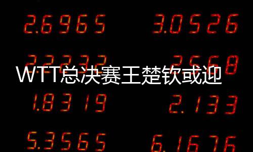钦或尽管世界排名仍高居首位