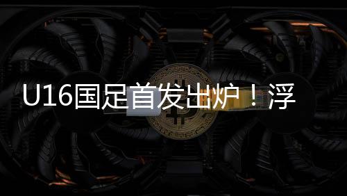 王非尼亚的足首首发位置