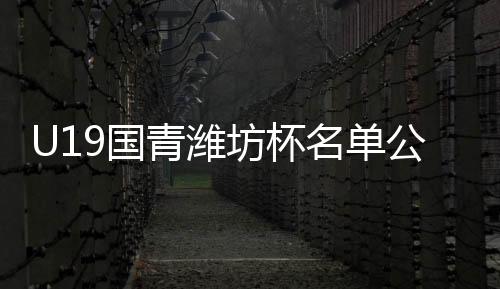 中国国青及山东鲁能