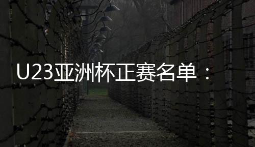 日本和乌兹别克斯坦队