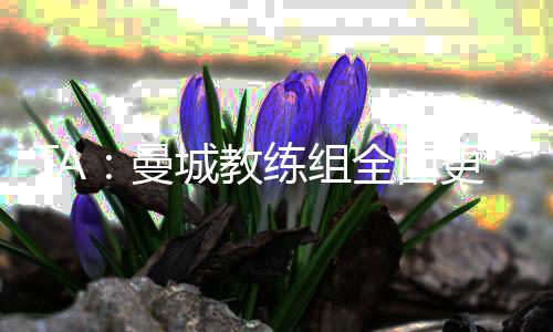 实质上不得不促成这次回归