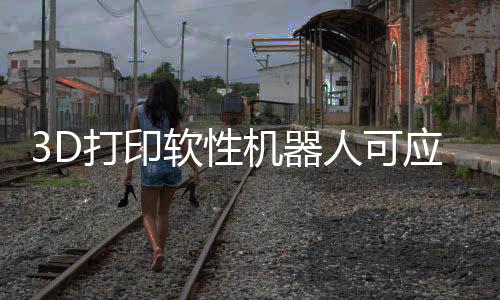 一伸一缩中蜿蜒前行
