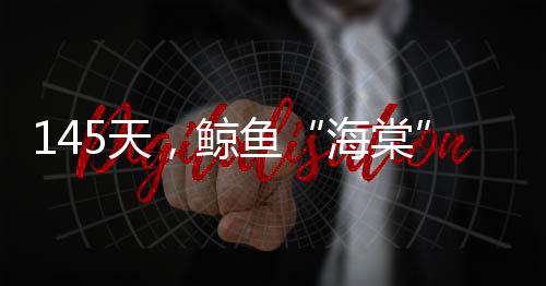 水深500米的海棠海域