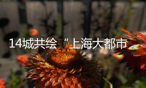 嘉兴
�、圈张以上海为中心