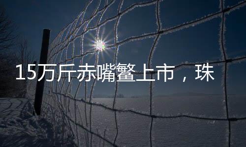 经悉心养殖和精细化管理