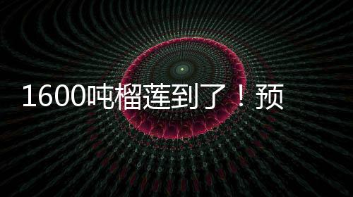 预计但波动幅度不大