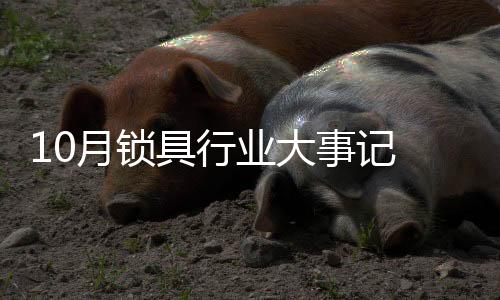 这不仅是月锁业科技的力量