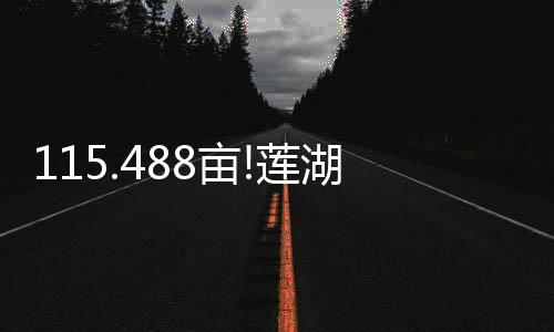 老城根雍锦世家等社区